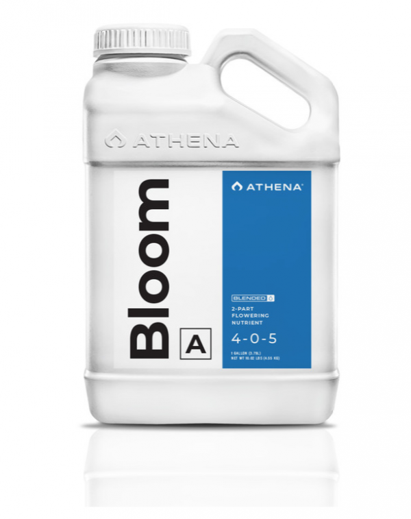 Athena Bloom A 1gal