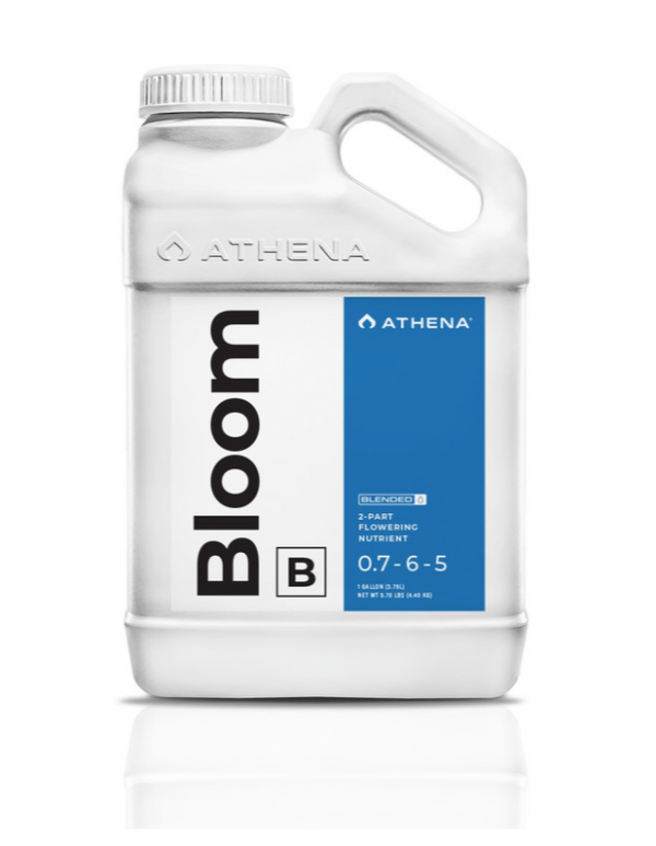 Athena Bloom B 1gal