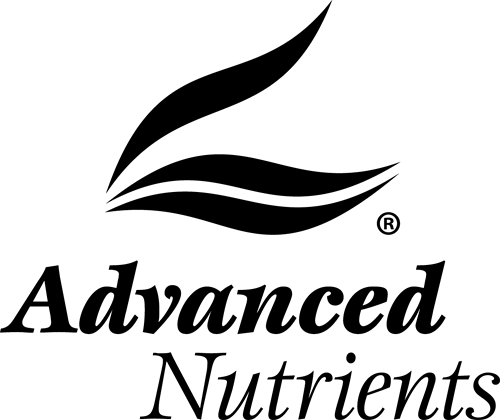 Dojo Seed Co